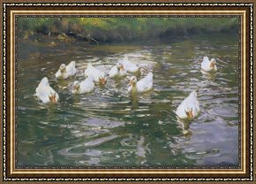 Ducks Framed Paintings - White Ducks on Water by Franz Grassel