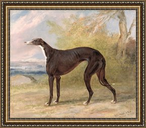 Boar Lane Framed Prints - One of George Lane Fox's Winning by George Garrard