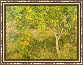 Tuke Framed Paintings - The Lemon Tree by Henry Scott Tuke