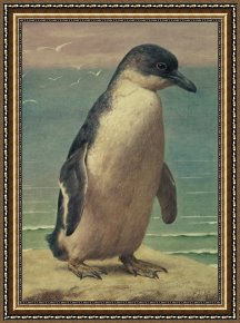 Henry Framed Paintings - Study of a Penguin by Henry Stacey Marks