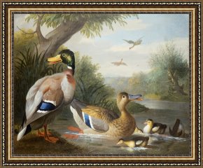 Ducks Framed Paintings - Ducks in a River Landscape by Jakob Bogdany