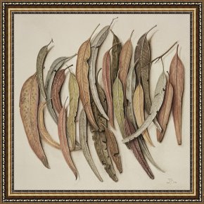 Leaves Framed Paintings - Eucalyptus Leaves by Jenny Barron