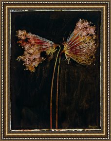 Floral Framed Prints - Floral Negative II by John Douglas