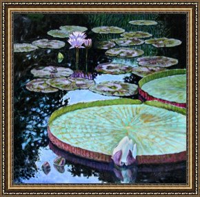 Reflections of Portofino Framed Prints - Calm Reflections by John Lautermilch