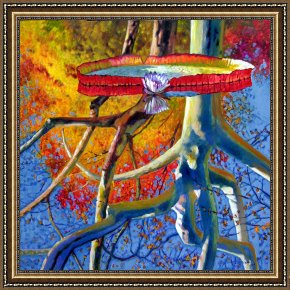 Reflections of Portofino Framed Prints - Missouri Sycamore Reflections by John Lautermilch