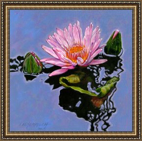 Reflections of Portofino Framed Prints - Pink Lily with Dancing Reflections by John Lautermilch