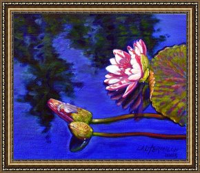 John Framed Prints - Sunlight on Pink by John Lautermilch