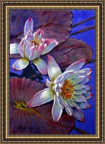 Water Framed Paintings - Two Pink Water Lilies by John Lautermilch
