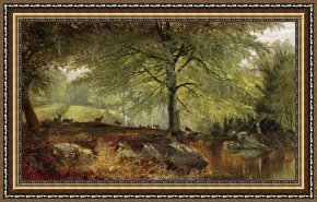 Joseph Framed Prints - Deer in a Wood by Joseph Adam