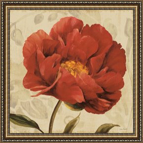 Floral Framed Prints - Floral Romance II by Lisa Audit