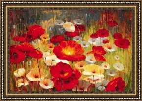 Newburyport Meadows Framed Prints - Meadow Poppies by Lucas Santini