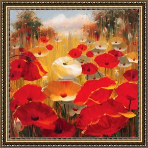 Newburyport Meadows Framed Prints - Meadow Poppies III by Lucas Santini