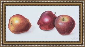 Eden Framed Paintings - Red Apples by Margaret Ann Eden