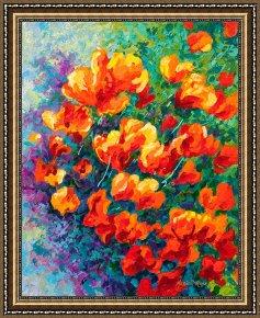 Meadow Poppies IV Framed Prints - California Poppies by Marion Rose