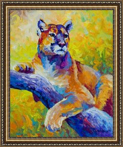 Portrait Framed Prints - Cougar Portrait I by Marion Rose