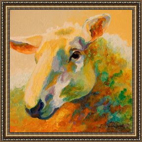 Portrait Framed Prints - Ewe Portrait III by Marion Rose