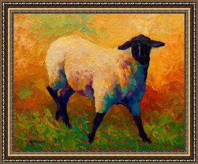 Portrait Framed Prints - Ewe Portrait IV by Marion Rose