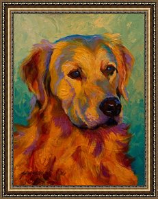 Golden Times Framed Prints - Golden Retriever by Marion Rose