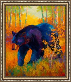Spring Framed Prints - In To Spring - Black Bear by Marion Rose