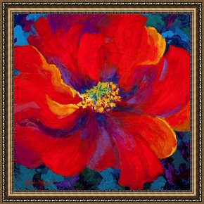 Red Elisabeth Riverbank Berlin Framed Paintings - Passion - Red Poppy by Marion Rose