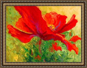 Cherokee Roses on a Purple Cloth Framed Paintings - Red Poppy I by Marion Rose