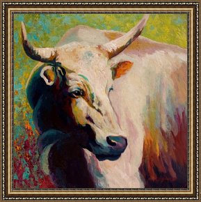 Portrait Framed Prints - White Bull Portrait by Marion Rose