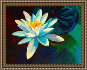 Meadow Angels - White Poppies Framed Prints - White Lily III by Marion Rose