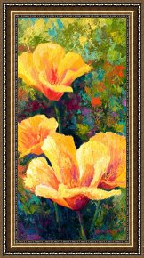 Meadow Poppies IV Framed Prints - Yellow Field poppies by Marion Rose