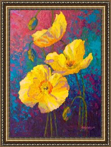 Meadow Poppies IV Framed Prints - Yellow Poppies by Marion Rose