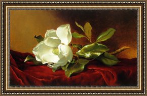 Heade Framed Paintings - A Magnolia on Red Velvet by Martin Johnson Heade