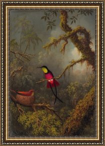Heade Framed Paintings - A Pair of Nesting Crimson Topaz Hummingbirds by Martin Johnson Heade