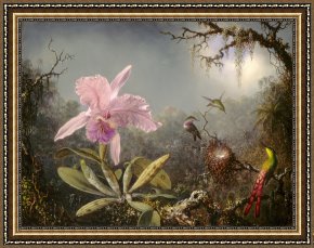 Heade Framed Paintings - Cattelya Orchid And Three Brazilian Hummingbirds by Martin Johnson Heade