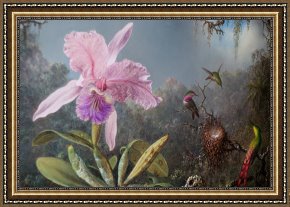 Heade Framed Paintings - Cattleya Orchid And Three Hummingbirds by Martin Johnson Heade