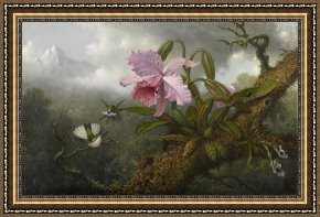 Heade Framed Paintings - Cattleya Orchid, Two Hummingbirds, And a Beetle by Martin Johnson Heade