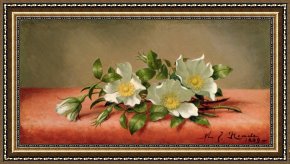 Cherokee Roses on a Purple Cloth Framed Paintings - Cherokee Roses by Martin Johnson Heade