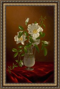 Cherokee Roses on a Purple Cloth Framed Paintings - Cherokee Roses in a Glass Vase by Martin Johnson Heade