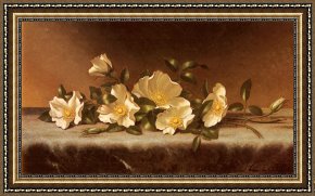 Cherokee Roses on a Purple Cloth Framed Paintings - Cherokee Roses on a Light Gray Cloth by Martin Johnson Heade