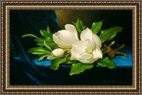 Heade Framed Paintings - Giant Magnolias on a Blue Velvet Cloth Nga by Martin Johnson Heade