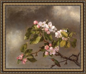 Heade Framed Paintings - Hummingbird And Apple Blossoms by Martin Johnson Heade