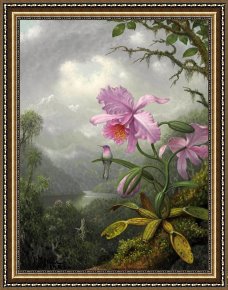 Heade Framed Paintings - Hummingbird Perched on The Orchid Plant by Martin Johnson Heade