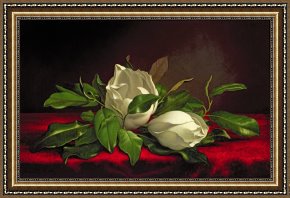 Heade Framed Paintings - Magnolia by Martin Johnson Heade