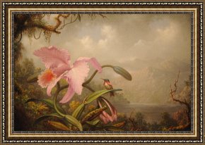 Heade Framed Paintings - Orchid And Hummingbird by Martin Johnson Heade