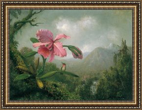 Heade Framed Paintings - orchid and hummingbird near a mountain waterfall by Martin Johnson Heade