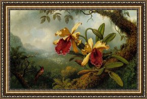 Heade Framed Paintings - Orchids And Hummingbird by Martin Johnson Heade