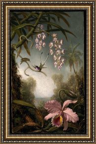Heade Framed Paintings - Orchids And Spray Orchids with Hummingbird by Martin Johnson Heade