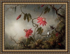 Heade Framed Paintings - Passion Flowers And Hummingbirds by Martin Johnson Heade