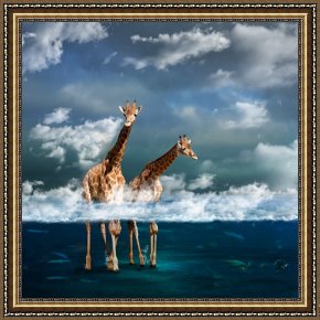 Misty Framed Prints - Misty by Martine Roch