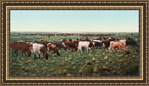 Round Midnight Framed Prints - Colorado: Round Up by Others