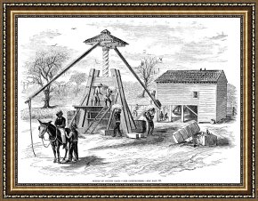 Swine, 19th Century Framed Prints - COTTON PRESS, 19th CENTURY by Others