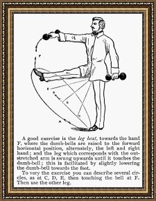 Swine, 19th Century Framed Prints - EXERCISE, 19th CENTURY by Others